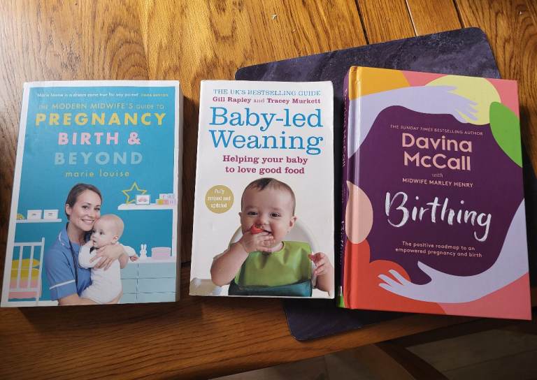 Pregnancy Books