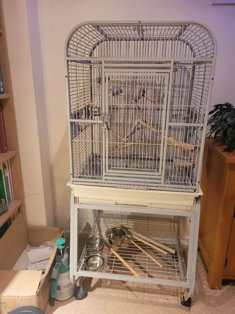 Budgie/love bird cage