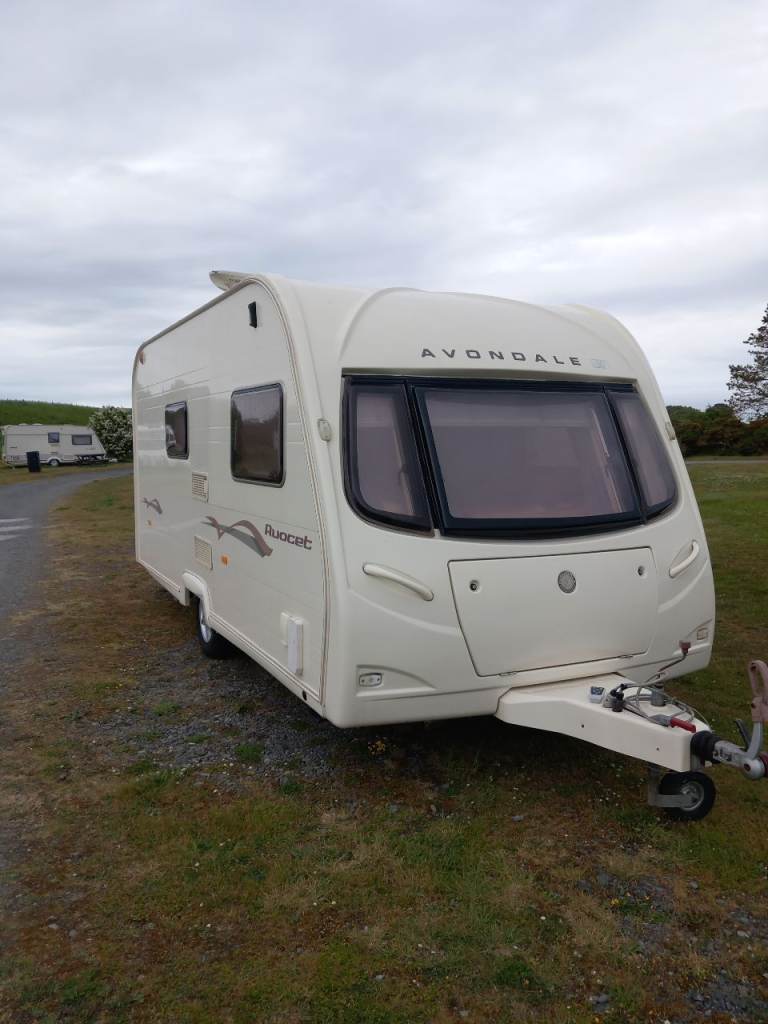 Avondale avocet