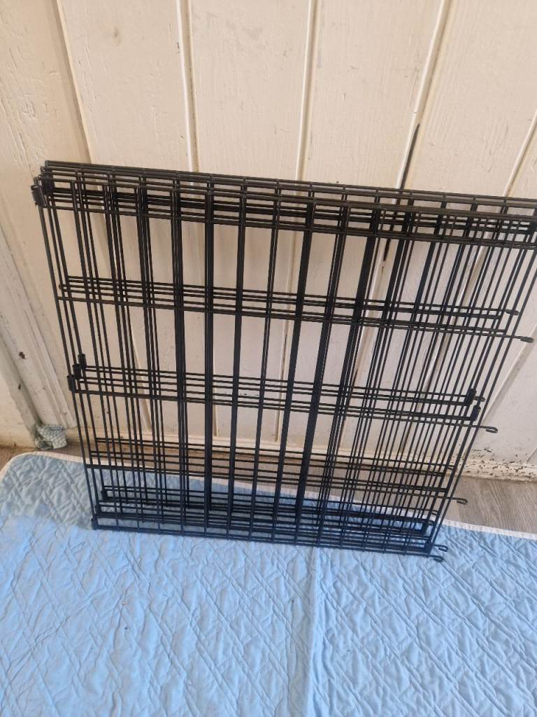 Puppy pen 