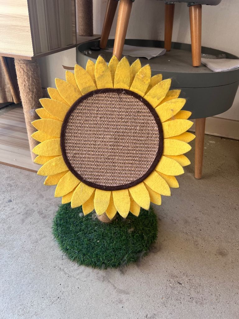 FREE Cat Scratcher