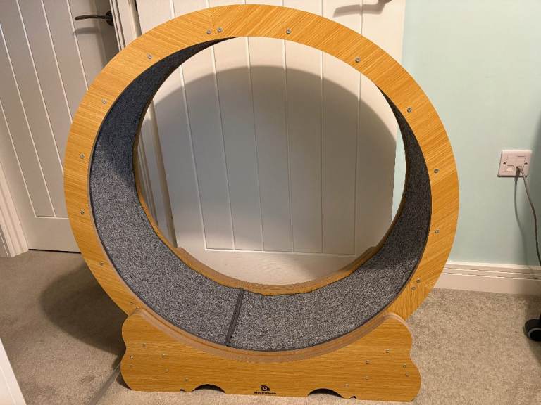 Large wooden cat exercise wheel