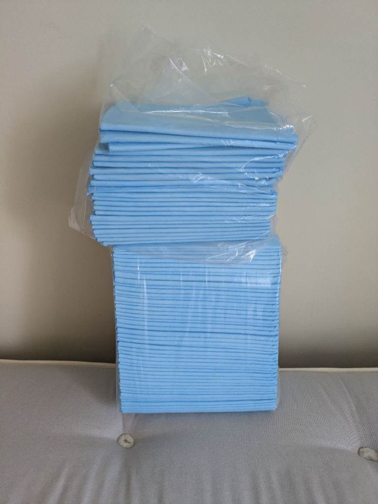 Toilet training pads