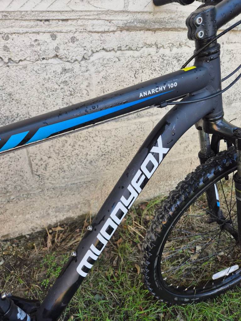 Adult bike