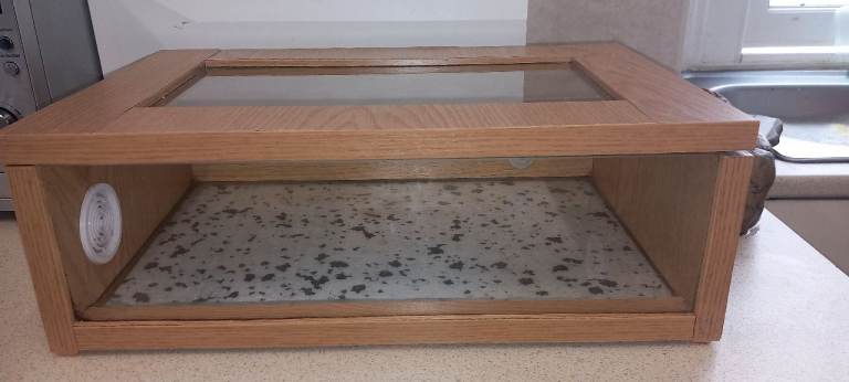 Small reptile enclosure 