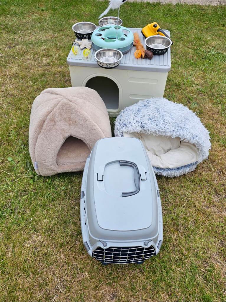 Cat bed