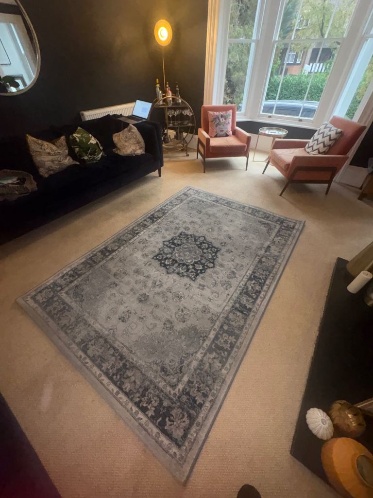 Large Ragolle Da Vinci Traditional Rug – 160 × 230cm