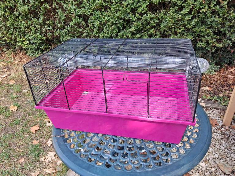Hamster cage