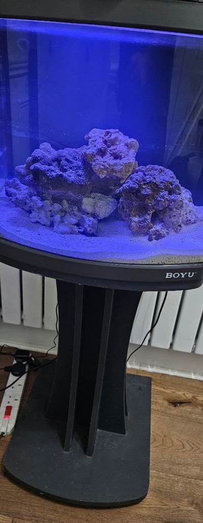 Marine Aquarium Fish Tank