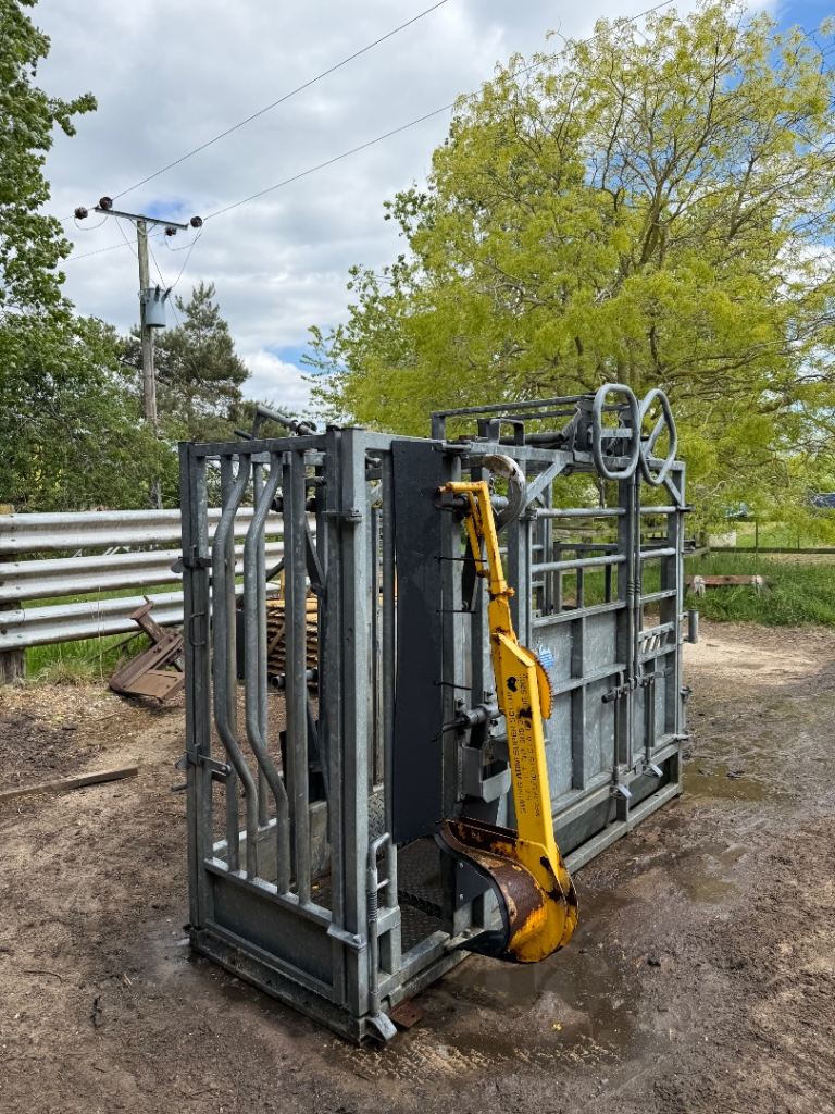 IAE chieftain cattle crush 