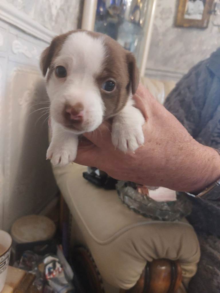 Be prepared To lose your toes ❤️ 