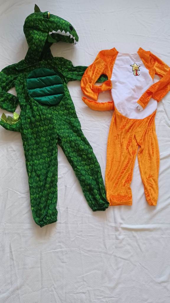 Boys Dinosaur and ZOG costumes outfits Party World Book Day dressing up clothes Brand New 