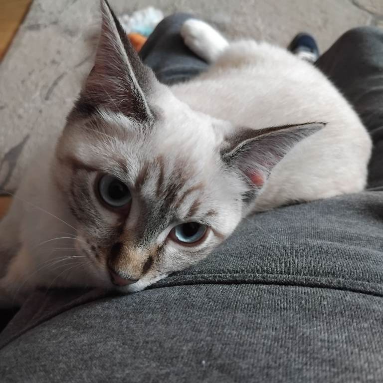 She