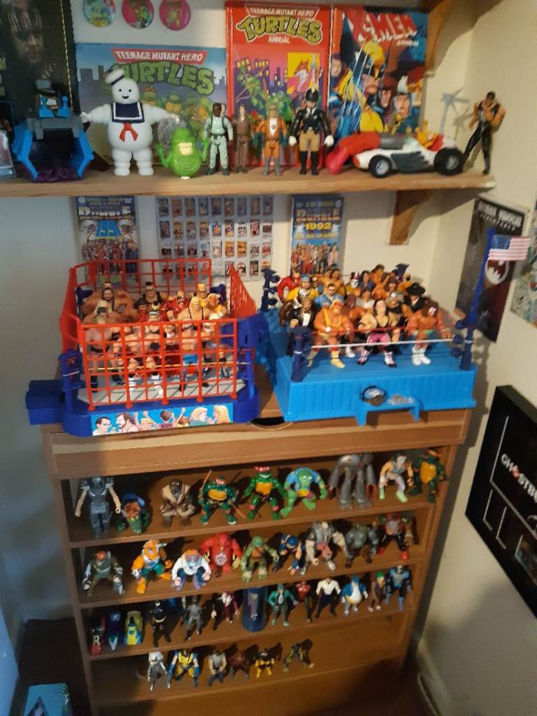 Wanted vintage action figures 80s and 90s wwf wcw wrestling turtles heman ghostbusters 