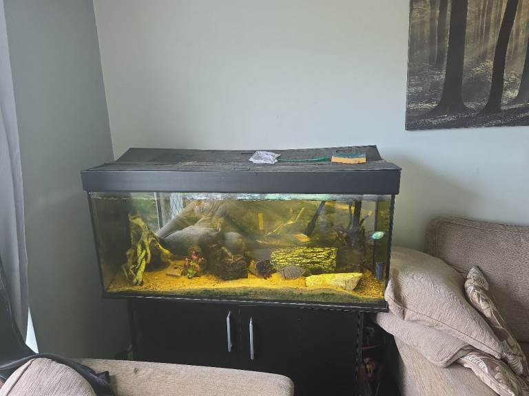 4 x 2 x 2 Aquarium with Cabinet and Filter - Good Condition