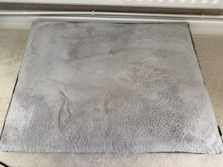 Pets at home large dog bed