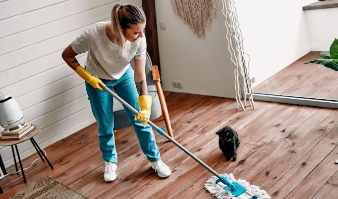 HOUSE KEEPING AND CLEANING - CLEANER NEEDED URGENT 