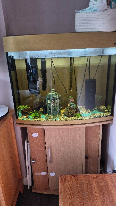 180 litre fish tank with everything and fish