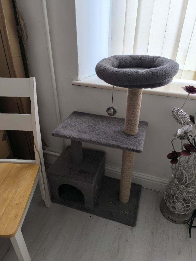 Cat bed