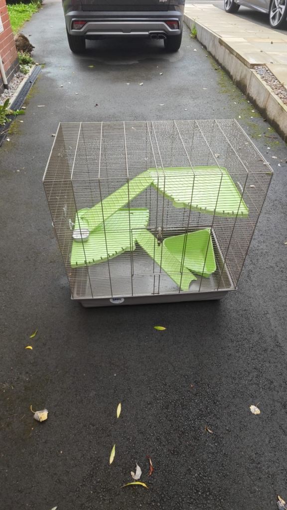 Rat cage