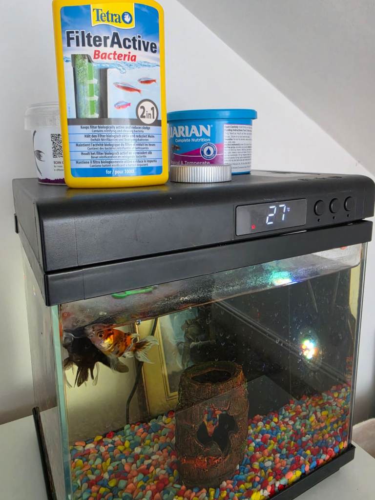 Fish and aquarium 14ltr fish tank 
