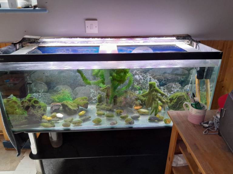 Cheap complete aquarium 