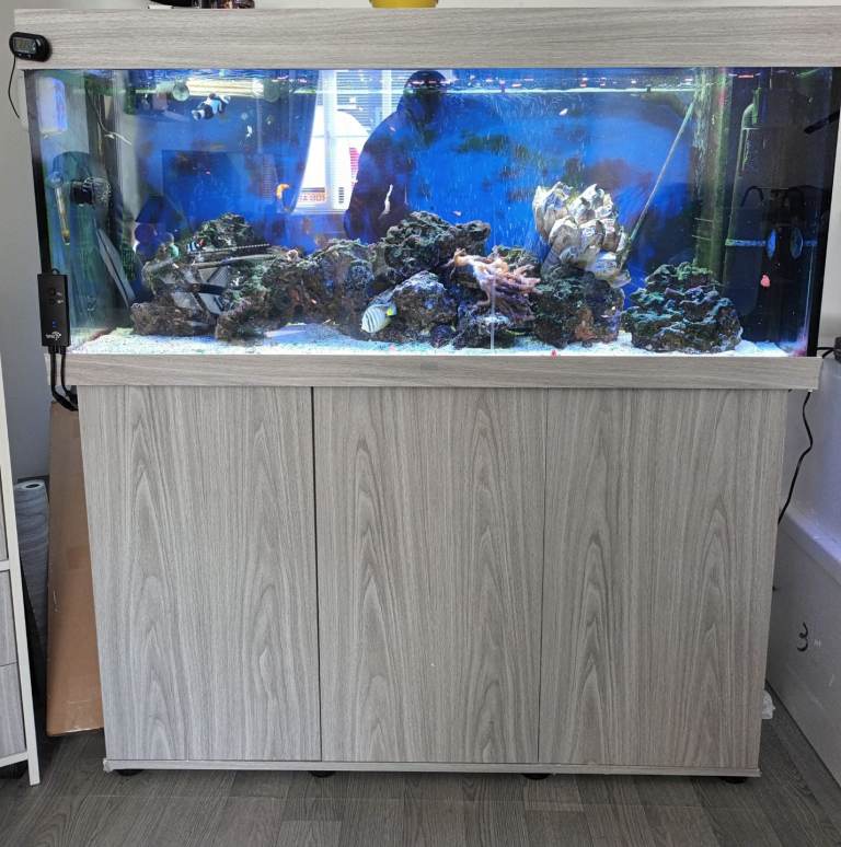 Fish tank/ marine aquarium