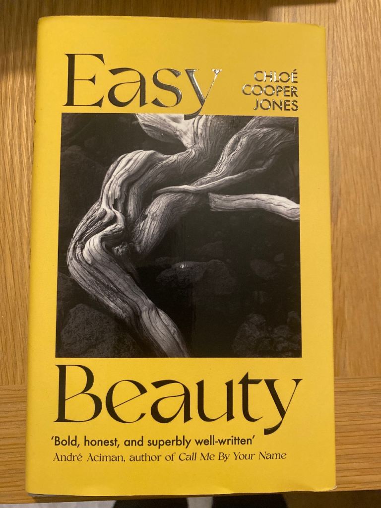 Easy Beauty by Chloe Cooper Jones hardback 