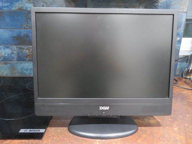 A DGM 19" computer Monitor.