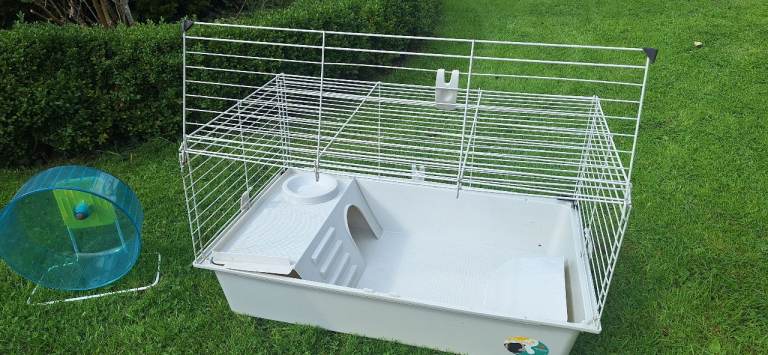 Guinea Pig / Small Animal Cage