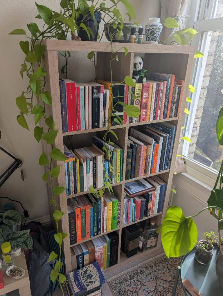 IKEA Kallax Bookshelf