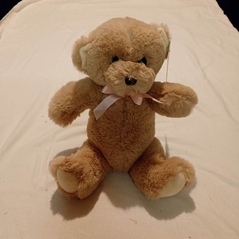 cute fluffy teddy bear
