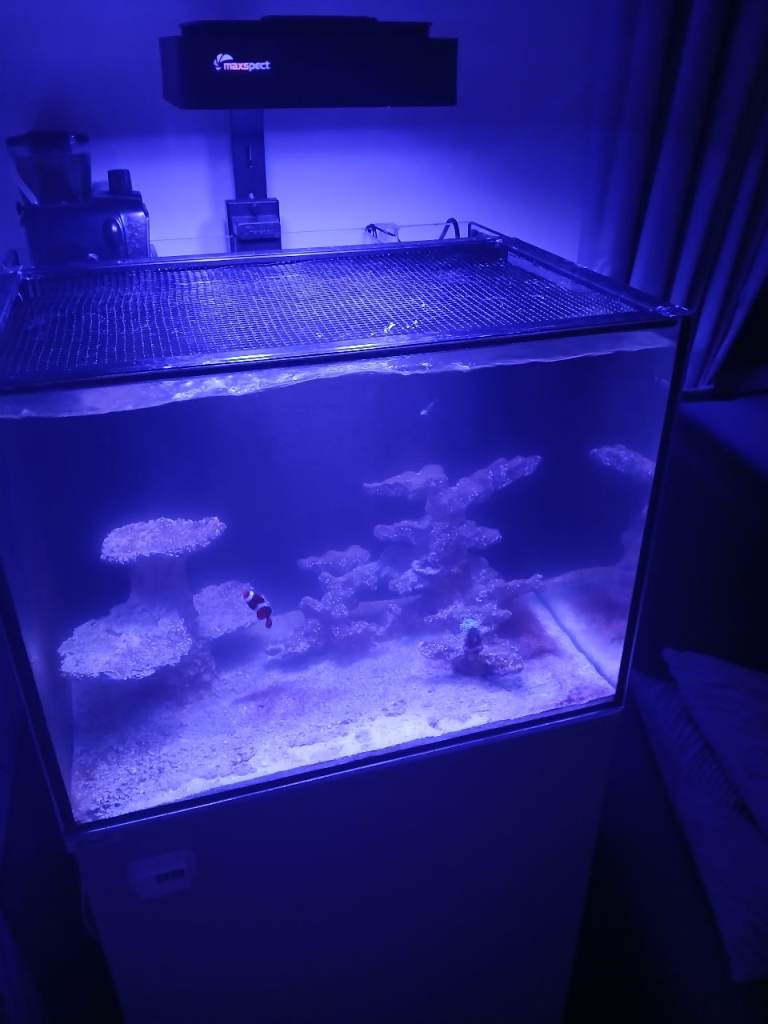 Marine tank 
