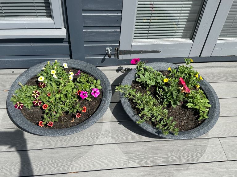 Flowers with pots