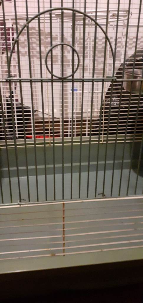 Large Pet Cage with Accessories – Good Condition