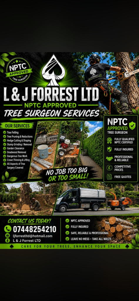 Qualified Tree Surgeon