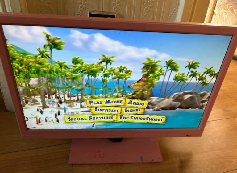 Pink slim 12 volt 19 inch LCD tv with dvd player hdmi  , freeview  - 12v