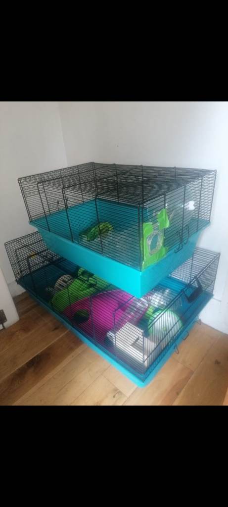Hamster cages 