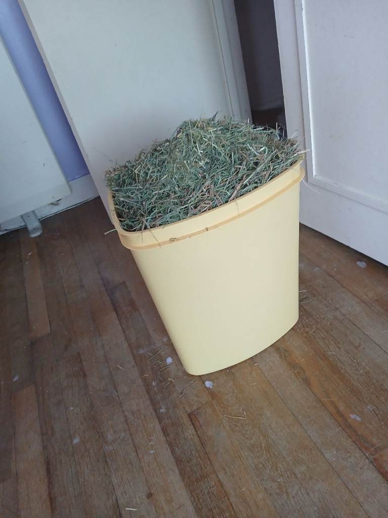 Hay