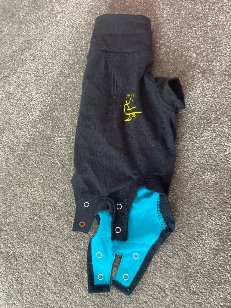 Kitten/cat recovery vest