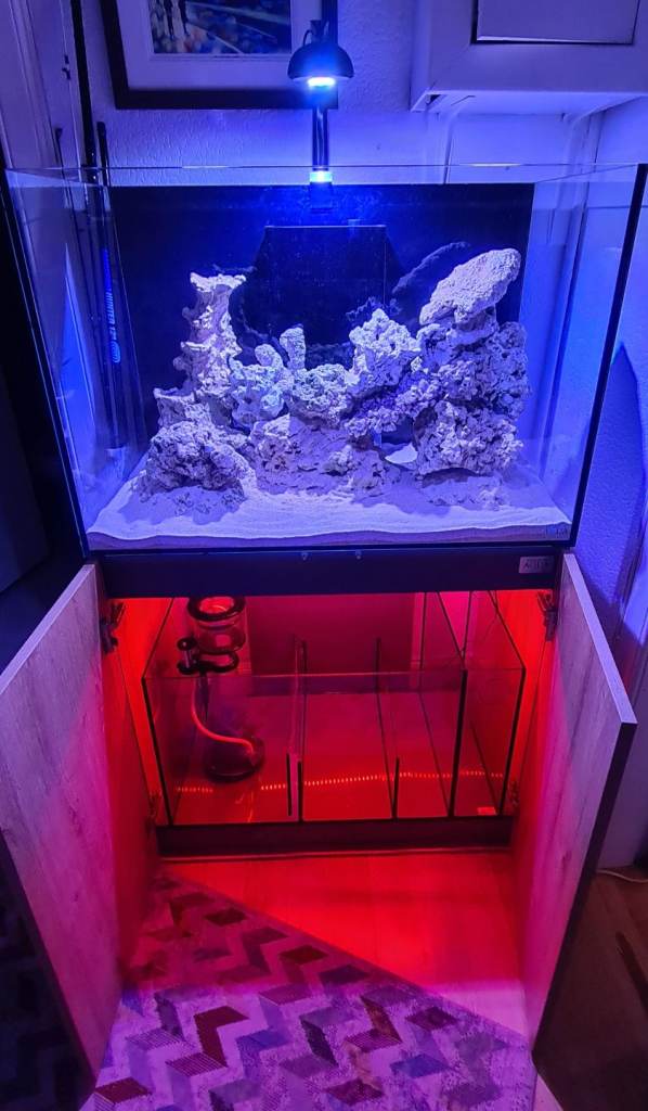 Evolution Aqua 900 Reef Tank with Cabinet