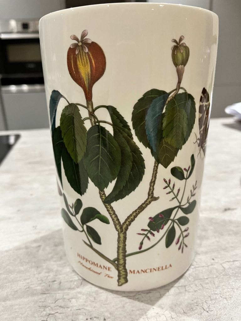 Portmeirion botanical garden storage jar