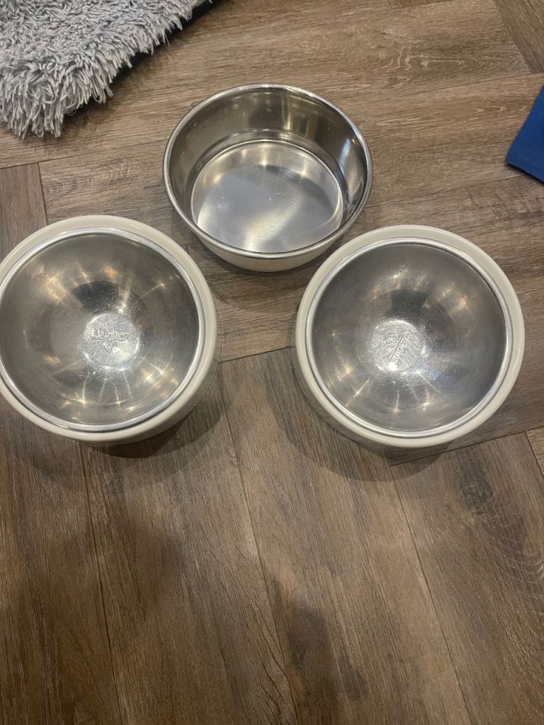 3 dog bowls
