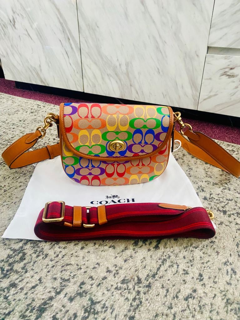 Coach Willow Rainbow Saddle Crossbody Bag 