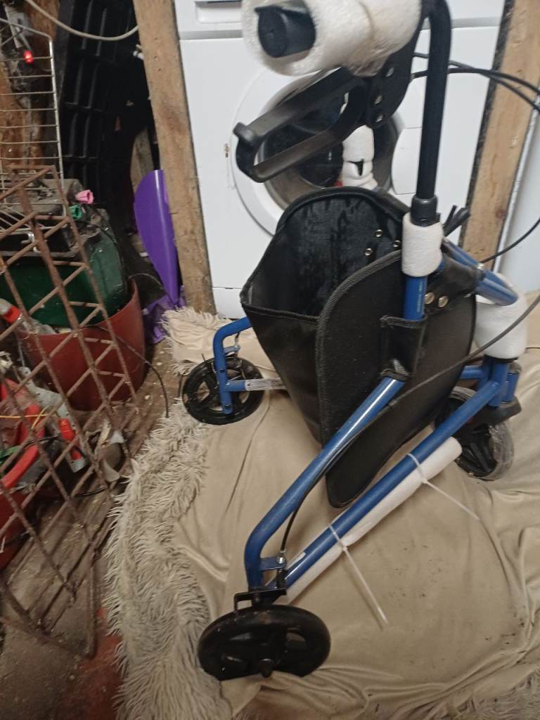 3 wheeled walker 