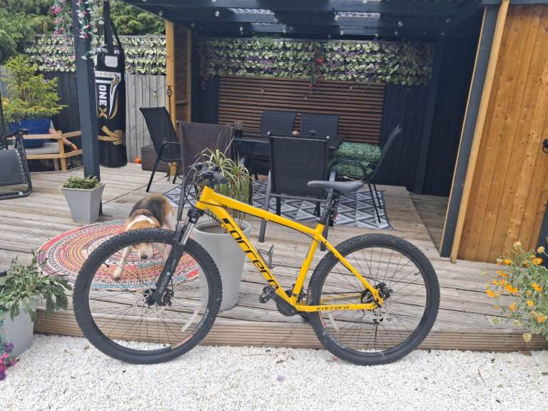 Mountain bike carrera yellow 