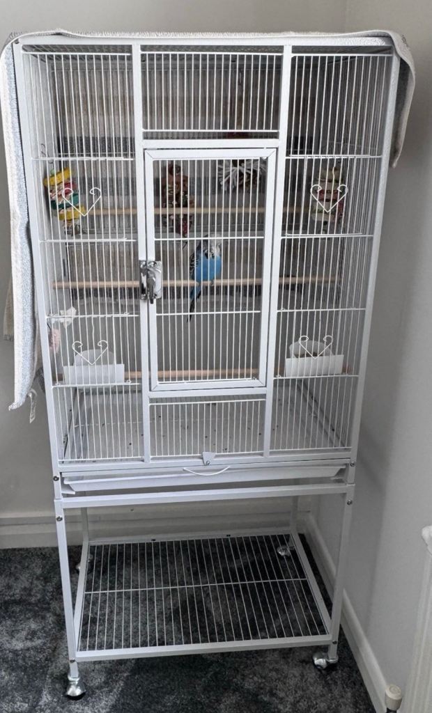 Beautiful white bird cage with rolling stand