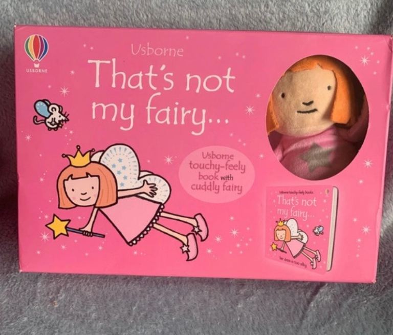 Not My Fairy Toy and book