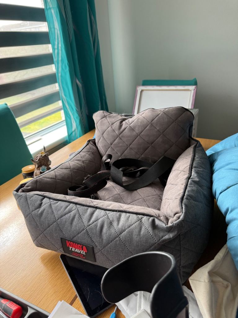 Dog car seat