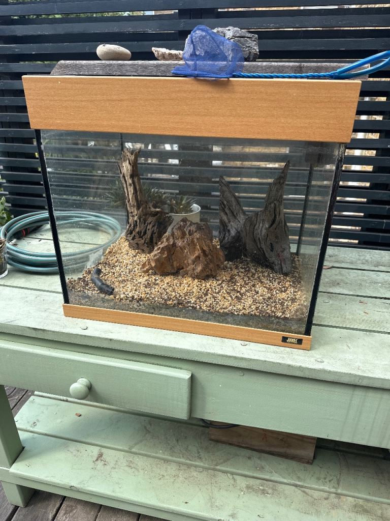 Small Glass Aquarium Fish Tank with Wood Trim